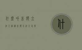 什么叫非独立法人机构（非独立法人企业是什么意思）