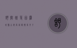 舒智娥等因霍城县公安局错误拘留其子高兵致死请求国家赔偿案（舒志宏简历）