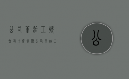 公司不给工资会有什么惩罚（公司不给工资咋办）