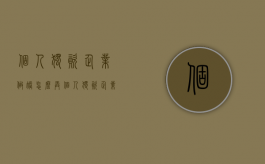 个人独资企业做账怎么弄（个人独资企业怎么做账）