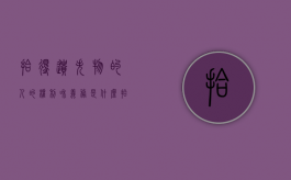 拾得遗失物的人的权利和义务是什么（拾得遗失物的人的权利和义务有哪些）