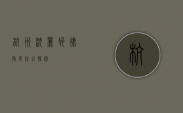 杭州沈丽娟，律师身份之探究