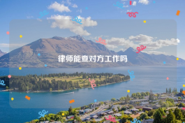 律师能查对方工作吗