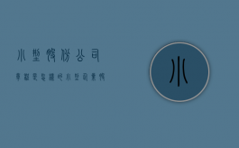 小型股份公司章程是怎样的（小型企业股份怎么算）