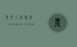 农村十级伤残一共赔几万（肋骨十级伤残一共赔几万）
