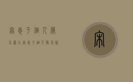 宋志平个人简介图片（宋志平个人简介资料图片）