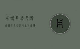 用哪些个人财产担保是合法的？（有财产担保的债权人在债权人会议中有表决权吗?）