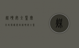 煤矿安全监察行政复议规定（煤矿安全监察条例的有关规定）