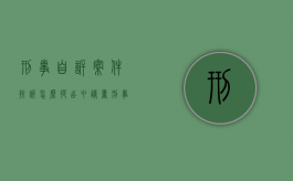 刑事自诉案件抗诉怎么提出申请书（刑事案件抗诉理由）