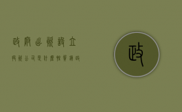 政府出资设立投资公司是什么性质（镇政府出资设立公司）
