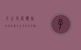 子公司具体指的是什么（子公司的主要职责是什么）