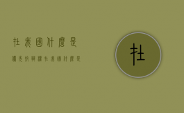 在我国什么是优先抗辩权（在我国什么是优先抗辩权的主体）