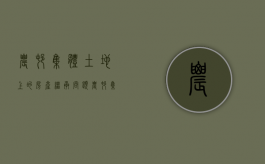 农村集体土地上的房产继承问题（农村集体土地上的房产继承问题是什么）