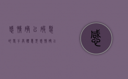 感情确已破裂的若干具体意见（感情确已破裂14种以外的情形）