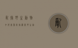 乱捕野生动物如何处罚（乱捕滥杀野生动物）
