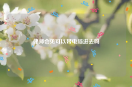 律师会见可以带电脑进去吗