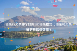 借条PK欠条哪个好附2015借条格式（借条和欠条谁更具法律效率）