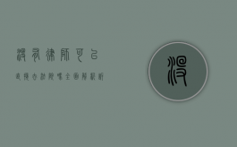 没有律师可以直接去法院吗？全面解析诉讼流程与权利
