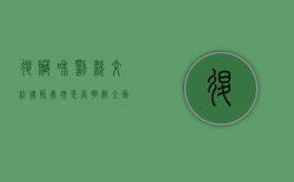 退赃和罚款交给律师处理是否明智？全面解析法律风险与操作指南