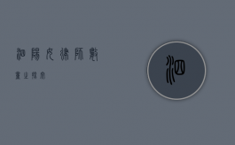 泗阳女律师数量之探究