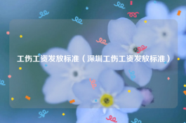 工伤工资发放标准（深圳工伤工资发放标准）
