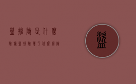 盗抢险是什么险种（盗抢险属于什么保险）