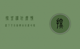 探望权什么情况下可强制执行（什么叫探望权的执行）