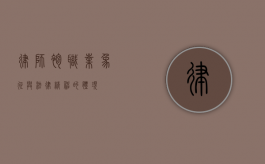 律师袍，职业象征与法律精神的体现