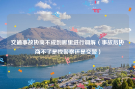 交通事故协商不成到哪里进行调解（事故后协商不了是找警察还是交警）