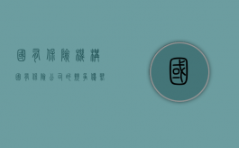 国有保险机构（国有保险公司的竞争优势）
