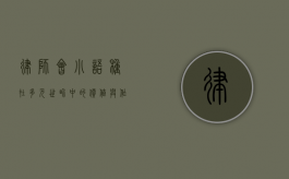 律师会小语种，在多元世界中的价值与作用
