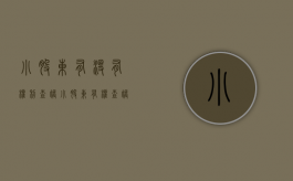 小股东有没有权利查账（小股东有权查帐吗）