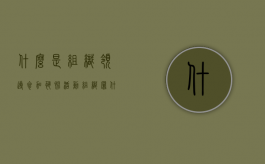 什么是组织领导参加恐怖活动组织罪（什么是组织领导参加恐怖活动组织罪的主体）