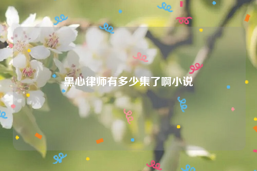 黑心律师有多少集了啊小说
