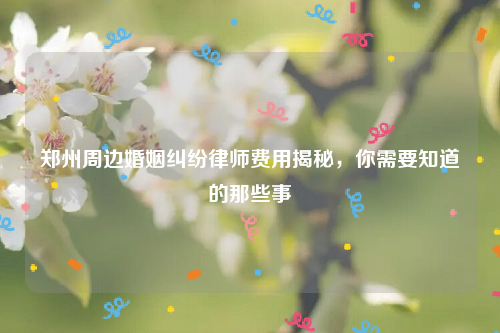 郑州周边婚姻纠纷律师费用揭秘，你需要知道的那些事