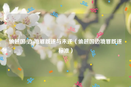偷越国(边)境罪既遂与未遂（偷越国边境罪既遂标准）