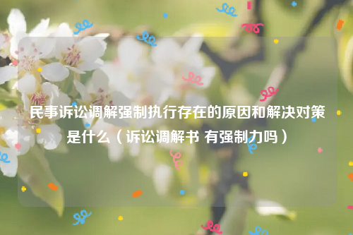 民事诉讼调解强制执行存在的原因和解决对策是什么（诉讼调解书 有强制力吗）