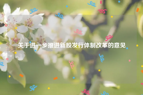关于进一步推进新股发行体制改革的意见