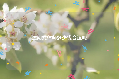 逾期找律师多少钱合适呢
