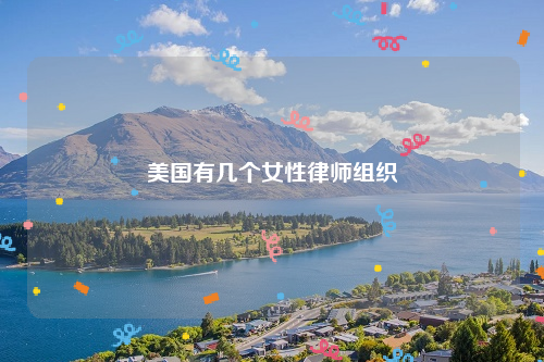 美国有几个女性律师组织