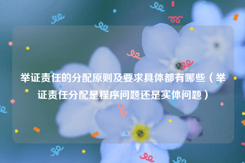 举证责任的分配原则及要求具体都有哪些（举证责任分配是程序问题还是实体问题）