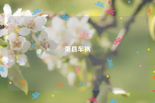 萧县车祸