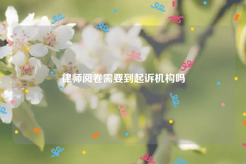 律师阅卷需要到起诉机构吗