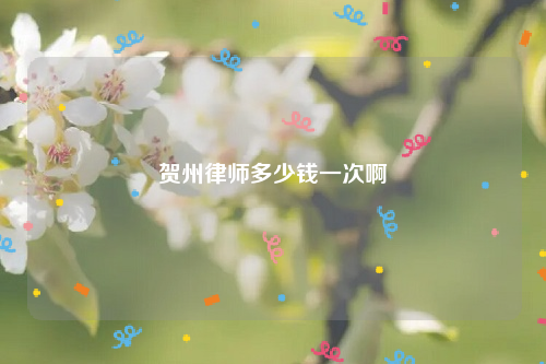 贺州律师多少钱一次啊