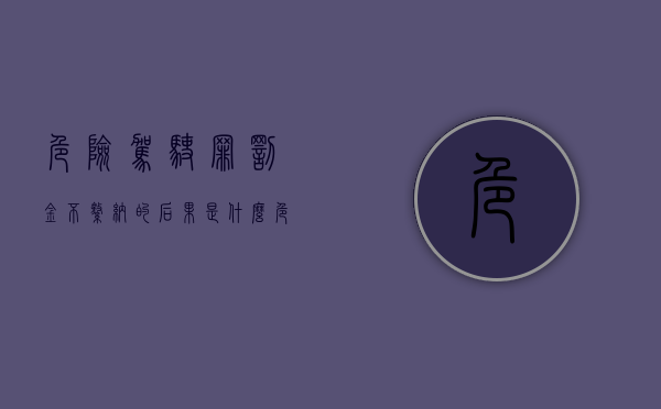 危险驾驶罪罚金不缴纳的后果是什么（危险驾驶罪罚金）