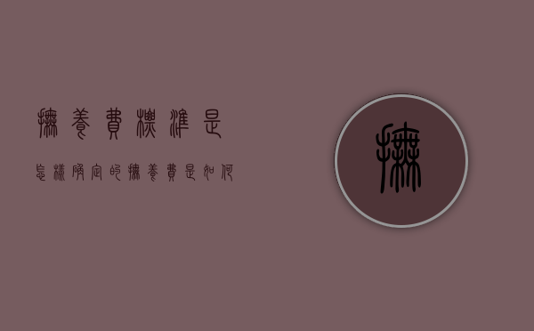 抚养费标准是怎样确定的（抚养费是如何计算的）