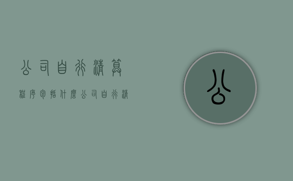 公司自行清算程序包括什么？（公司自行清算注销需要刻章吗）