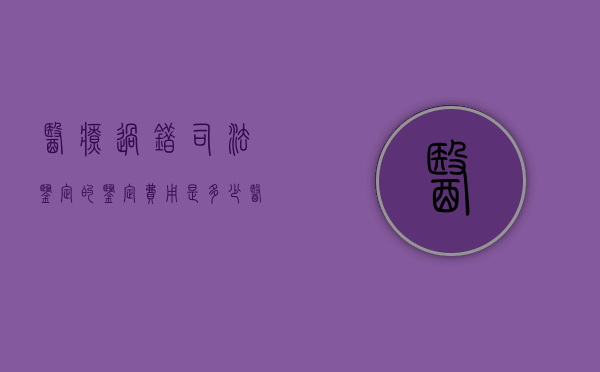 医疗过错司法鉴定的鉴定费用是多少（医疗过错司法鉴定意见陈述书）