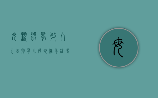母亲没有收入可以拥有小孩的抚养权吗（母亲没有经济来源,这个生活费谁给?）