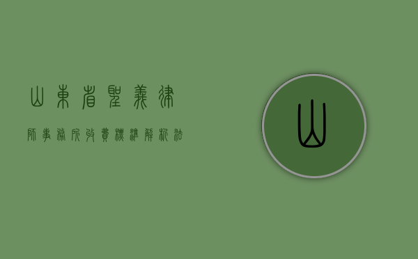 山东省圣义律师事务所收费标准解析，法律服务价格透明化